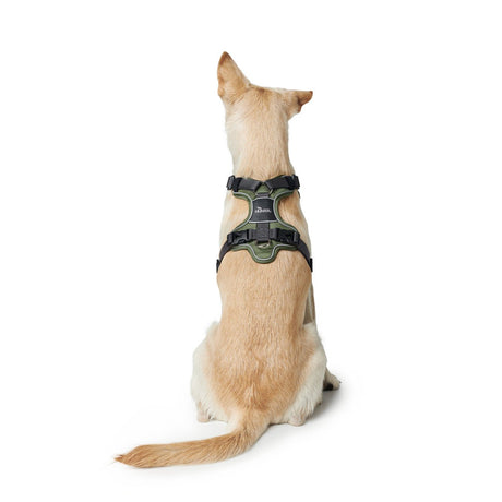 Hunter Hundegeschirr Divo