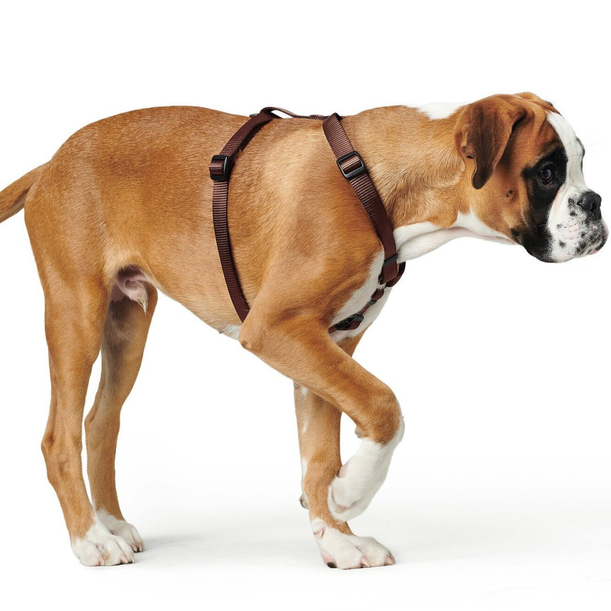 Hunter Hundegeschirr Ecco Sport Vario Rapid Nylon