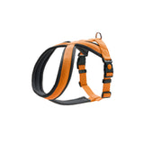Hunter Hundegeschirr London Comfort