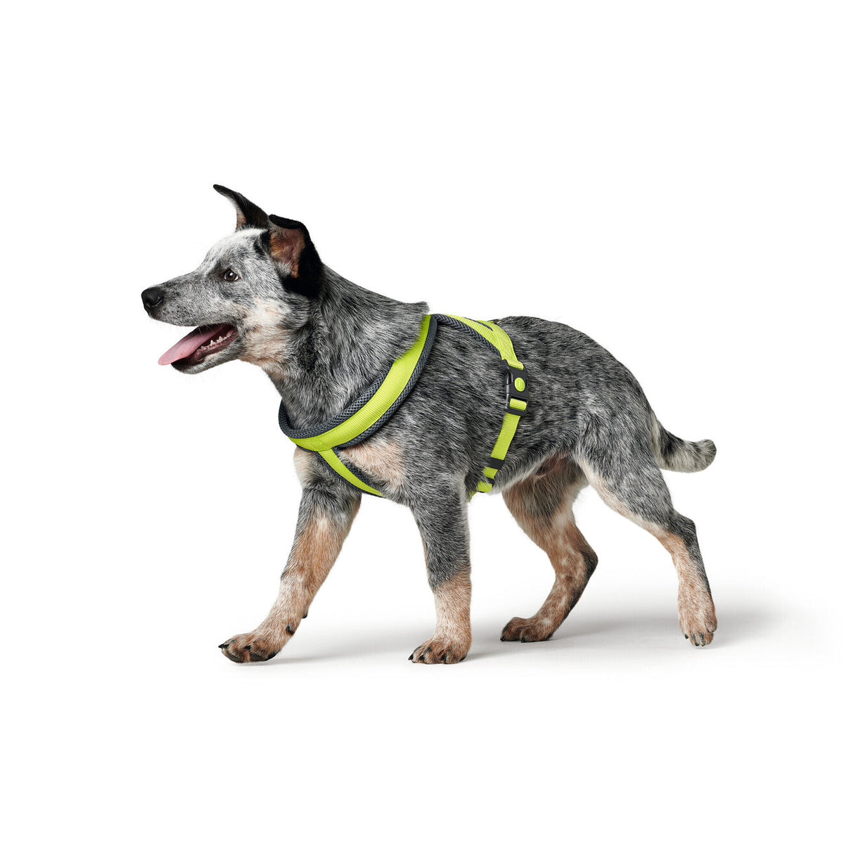 Hunter Hundegeschirr London Comfort