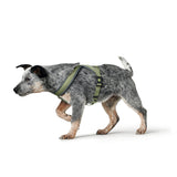 Hunter Hundegeschirr London Comfort