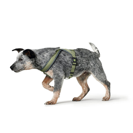Hunter Hundegeschirr London Comfort