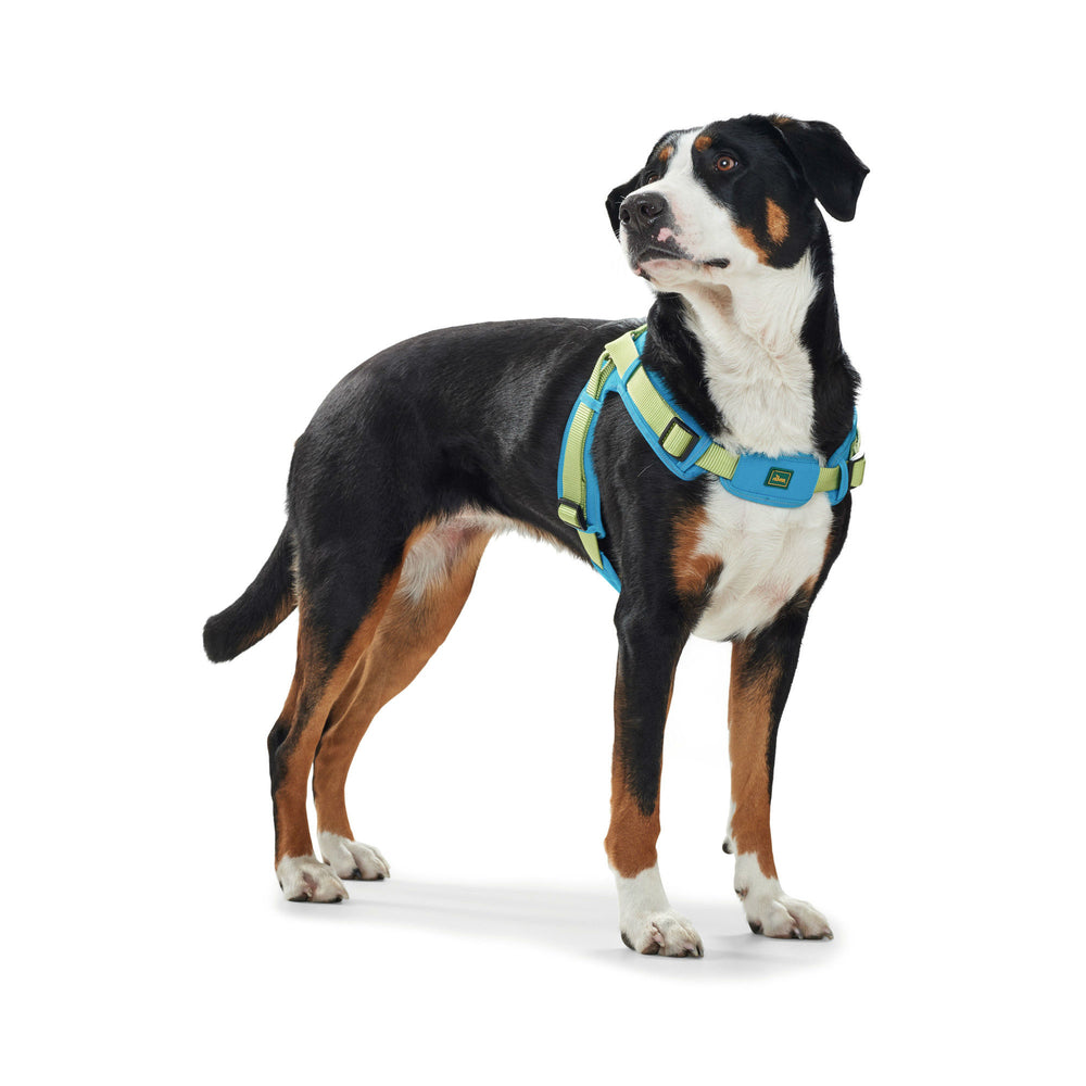Hunter Hundegeschirr Neopren Vario Quick
