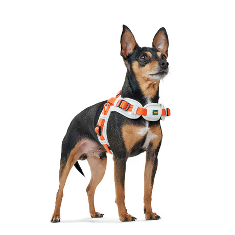 Hunter Hundegeschirr Neopren Vario Quick