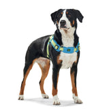 Hunter Hundegeschirr Neopren Vario Quick