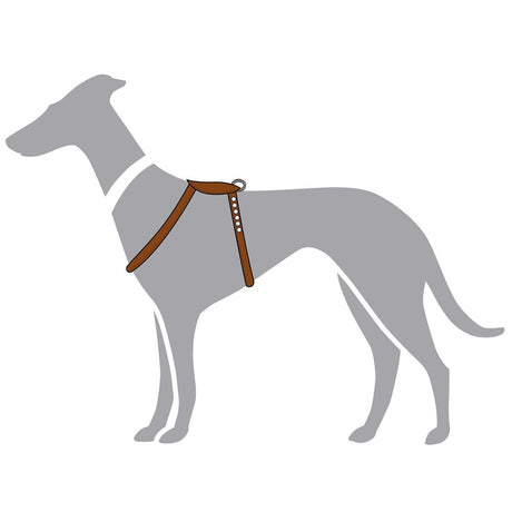 Hundegeschirr Round & Soft Canadian Up