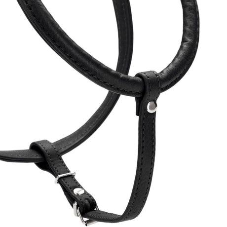 Hundegeschirr Round & Soft Canadian Up
