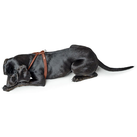 Hundegeschirr Round & Soft Canadian Up