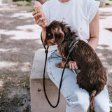 Hundegeschirr Round & Soft Canadian Up