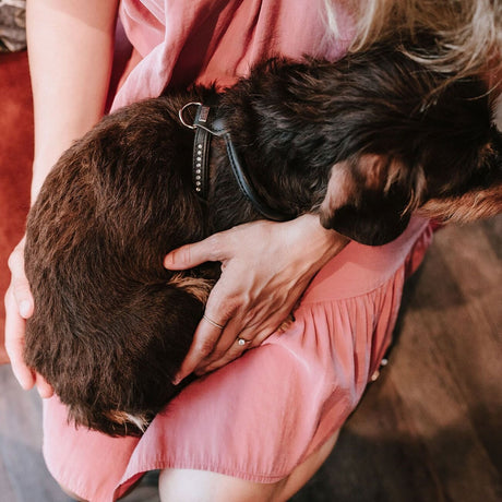 Hundegeschirr Round & Soft Canadian Up