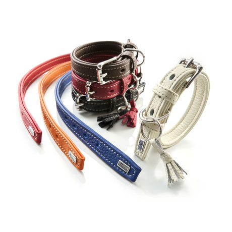 HUNTER Hundehalsband Cannes