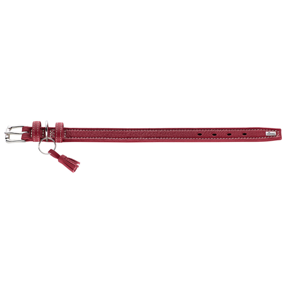 HUNTER Hundehalsband Cannes