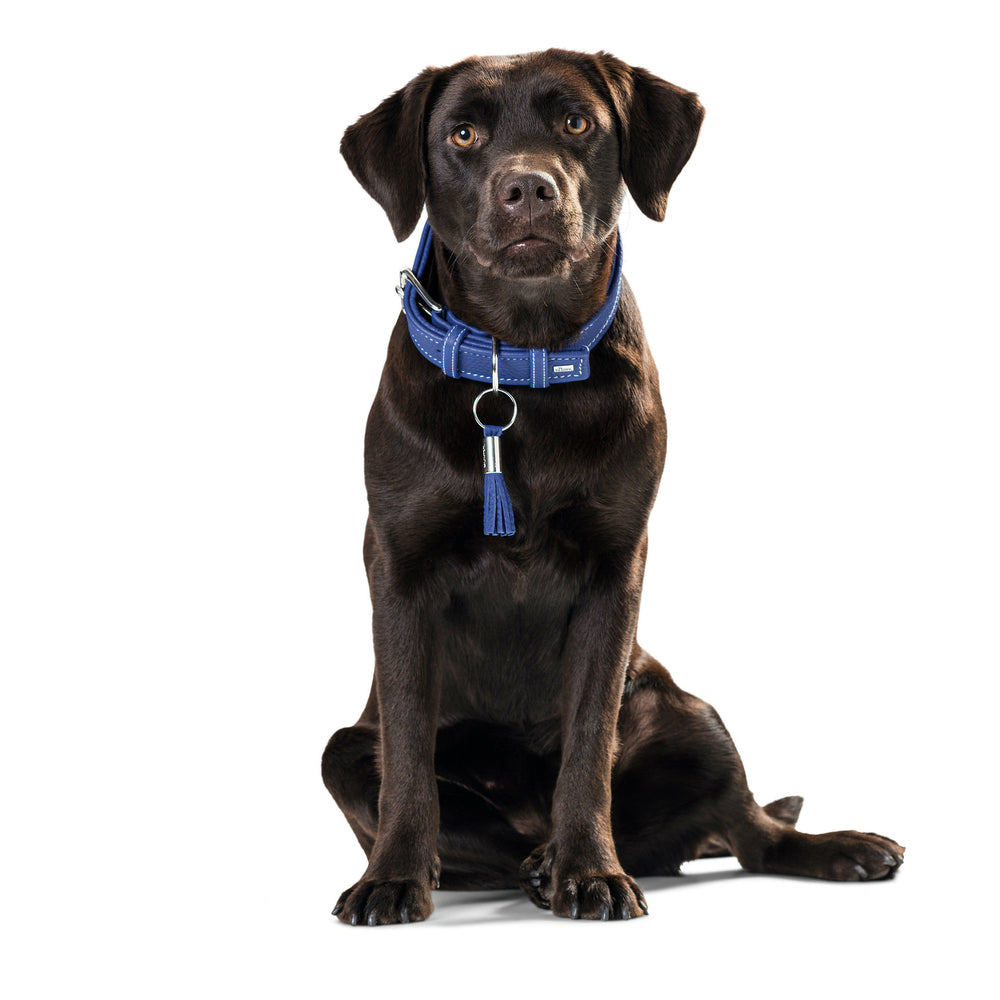HUNTER Hundehalsband Cannes
