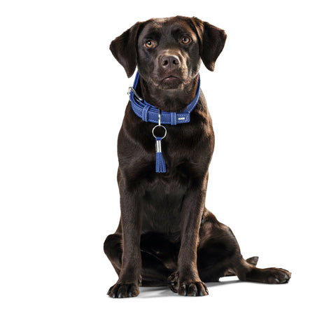 HUNTER Hundehalsband Cannes