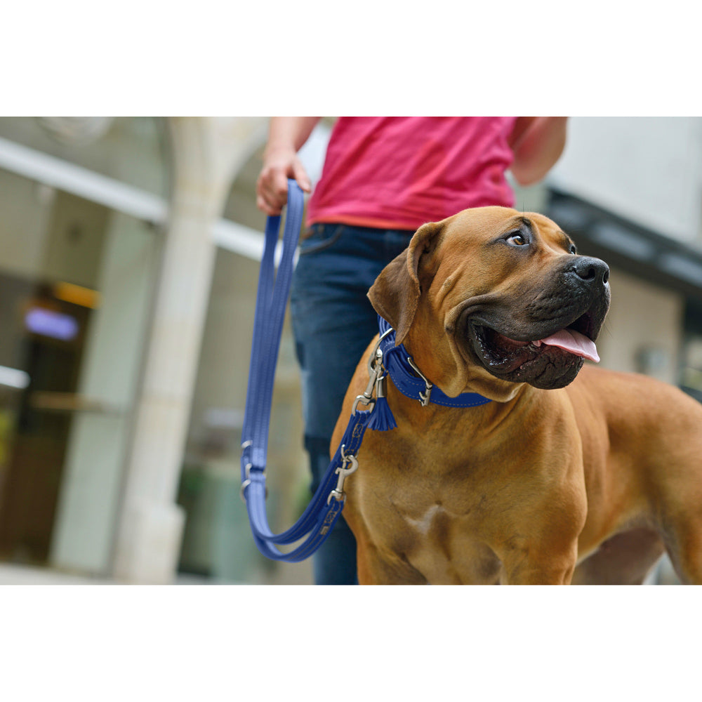 HUNTER Hundehalsband Cannes