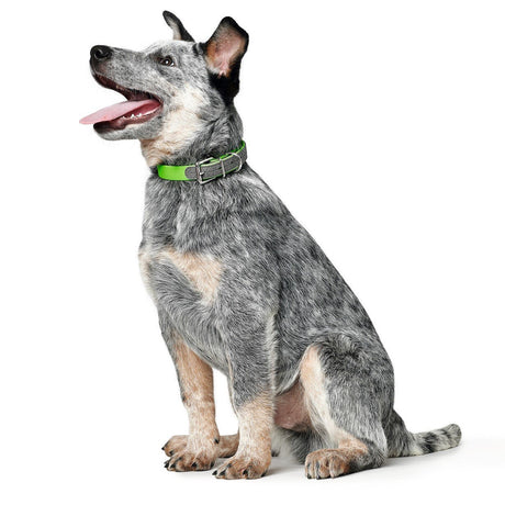 Hunter Hundehalsband Convenience New Comfort