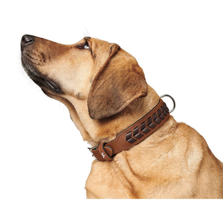 Hunter Hundehalsband El Paso