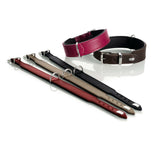 Hunter Hundehalsband Basic