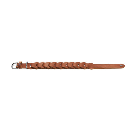 Hundehalsband Solid Education Chain