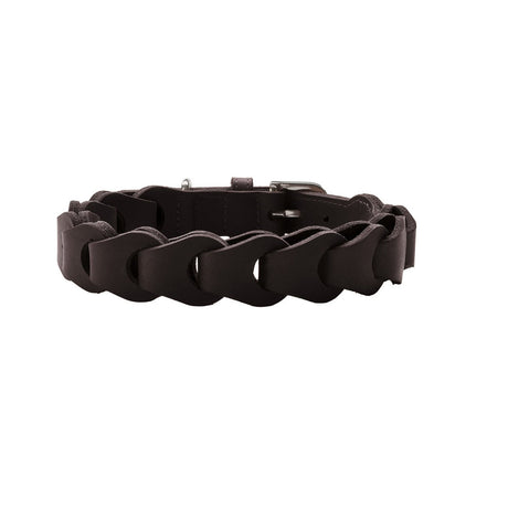 Hundehalsband Solid Education Chain