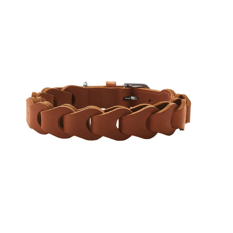 Hundehalsband Solid Education Chain