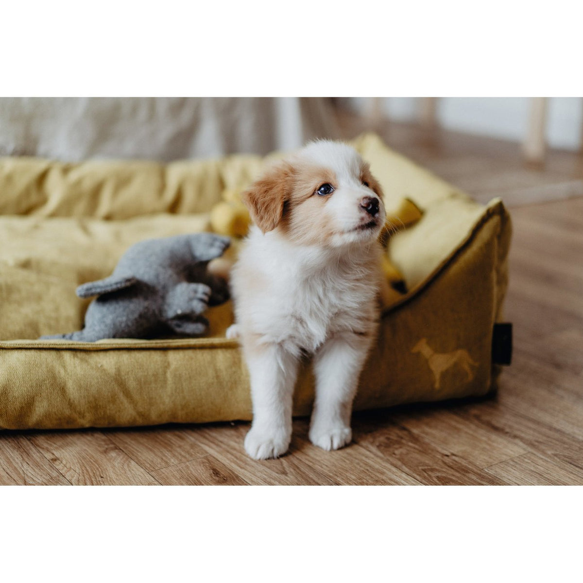 Hundesofa Eiby