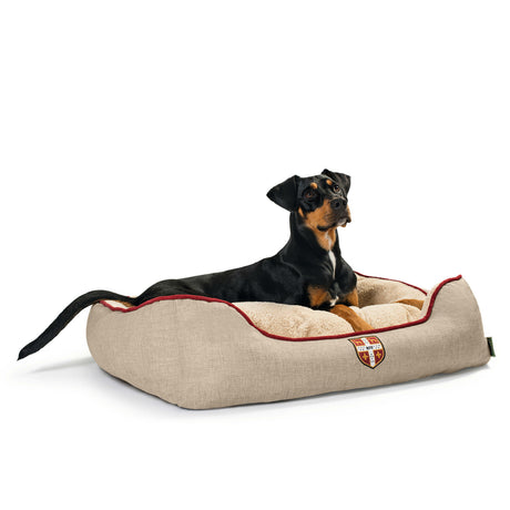 Hunter Hundesofa University