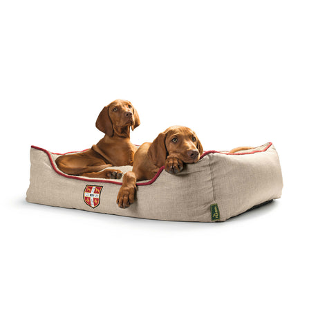 Hunter Hundesofa University