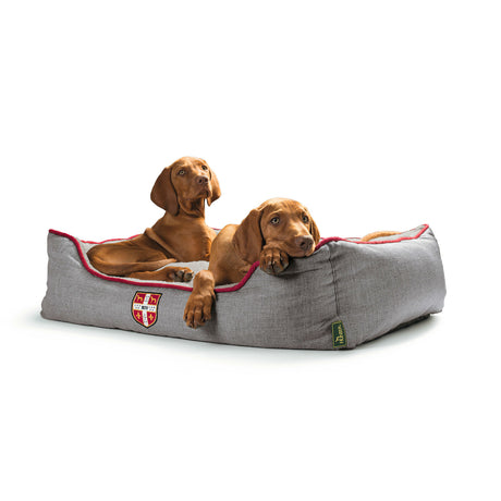 Hunter Hundesofa University