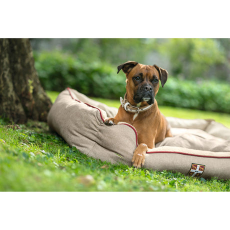 Hunter Hundesofa University