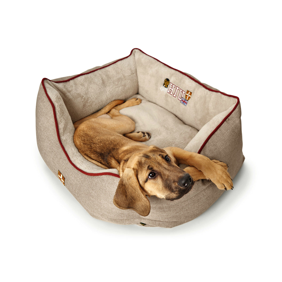 Hunter Hundesofa University
