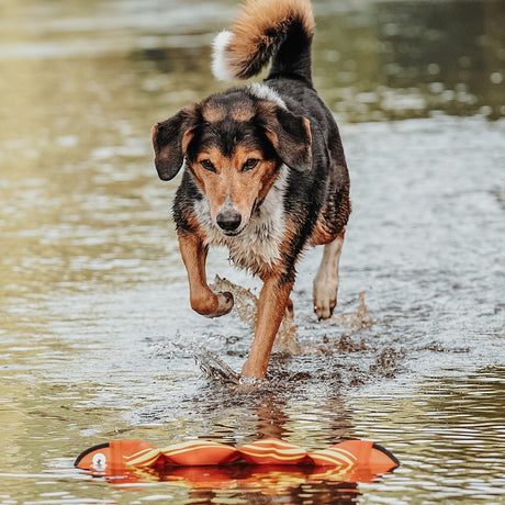 Hunter Hundespielzeug Aqua Mindelo