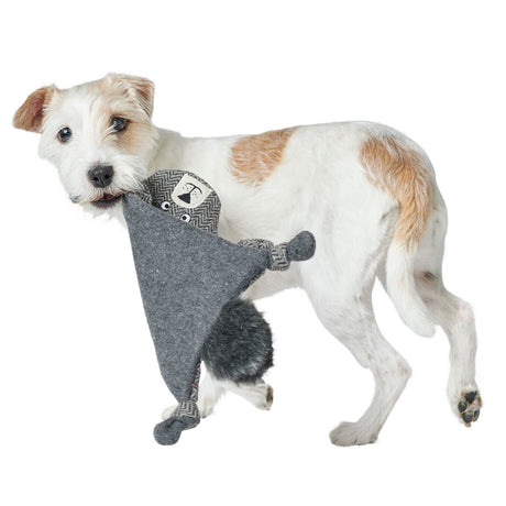Hundespielzeug Billund flach für Hunde – Bär
