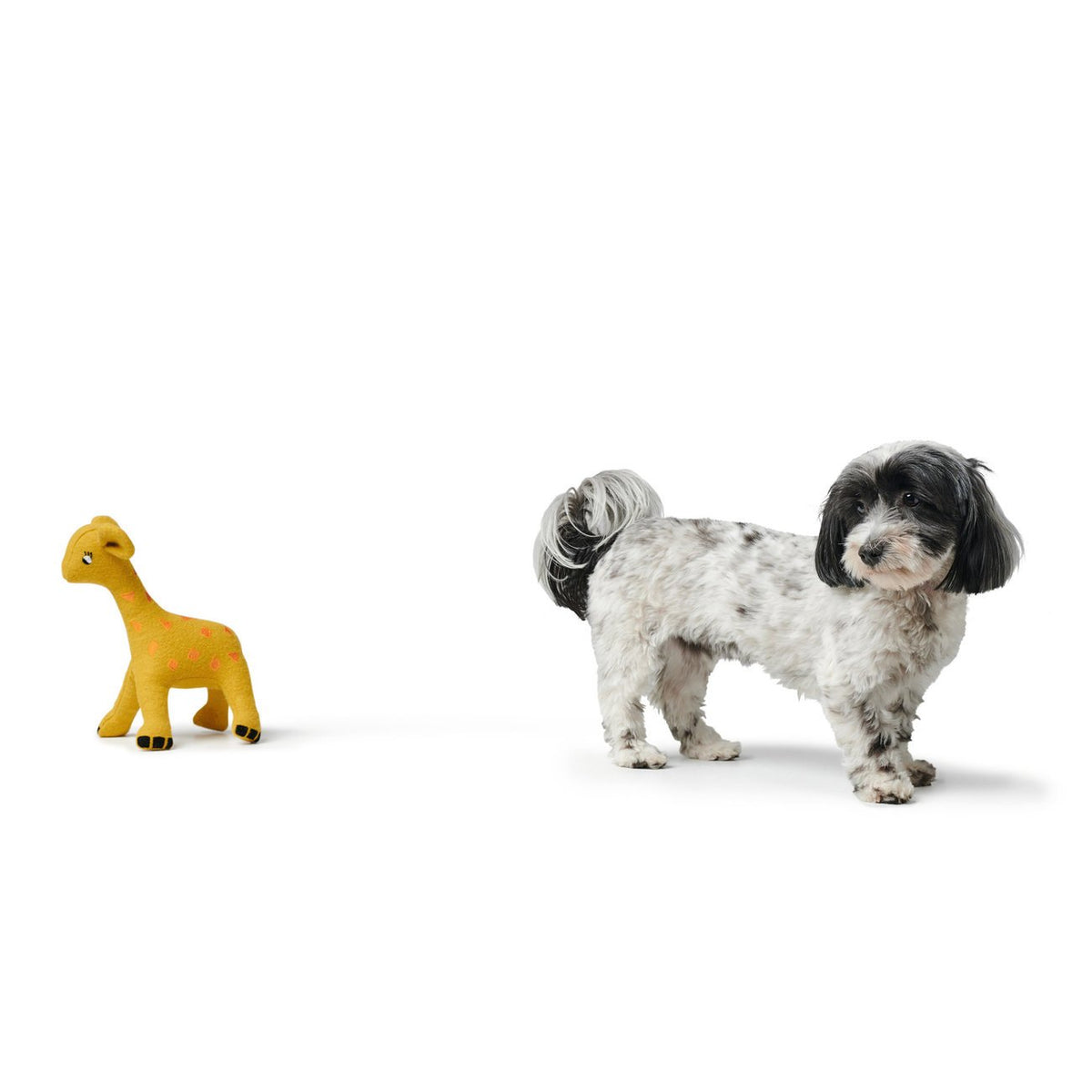 Hundespielzeug Eiby
