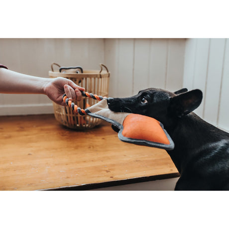 Hunter Hundespielzeug Tough Pombas – Pfeil