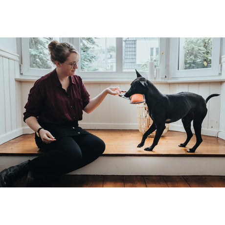Hunter Hundespielzeug Tough Pombas – Pfeil