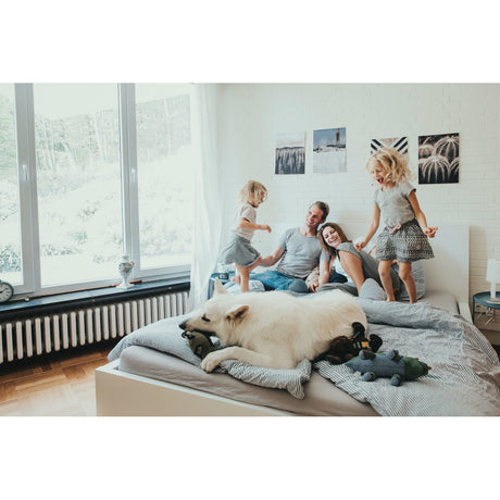 Hunter Hundespielzeug Tough Toys