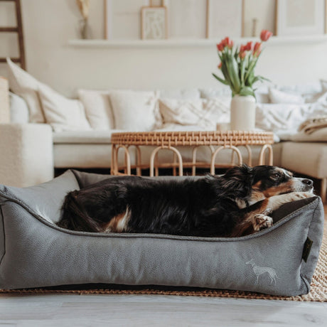 Orthopädisches Hundesofa Merida