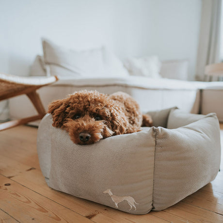 Orthopädisches Hundesofa Merida 6-eckig