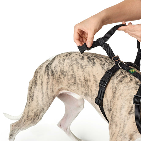 Hunter Panikgeschirr für Hunde Vario Rapid