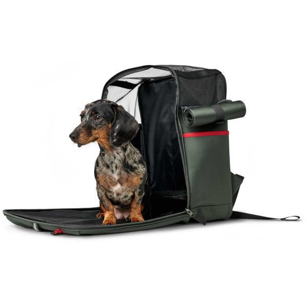 Hunter Rucksack Orlando