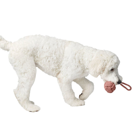 Schleuderball Inari für Hunde