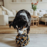 Schnüffelball Eiby für Hunde