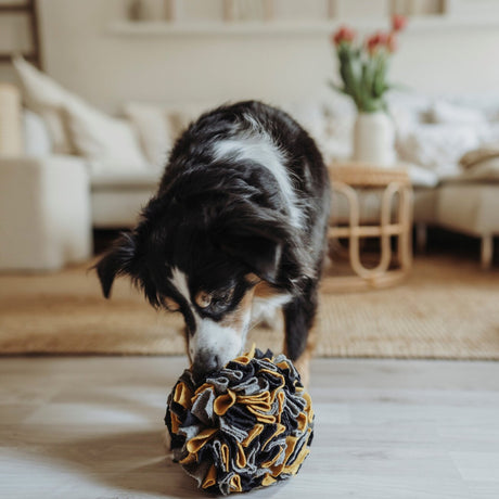 Schnüffelball Eiby für Hunde
