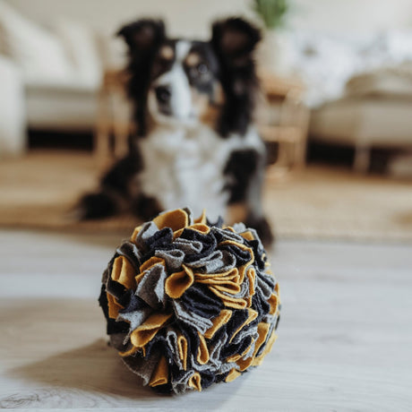 Schnüffelball Eiby für Hunde