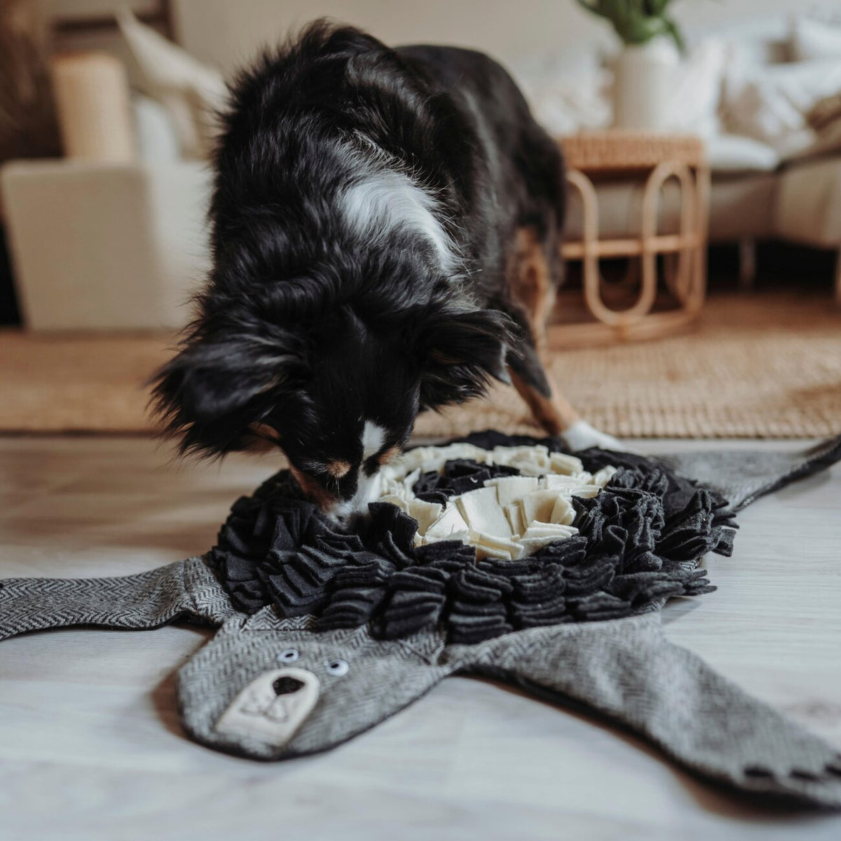 Schnüffelteppich Billund für Hunde