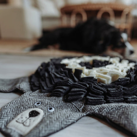 Schnüffelteppich Billund für Hunde