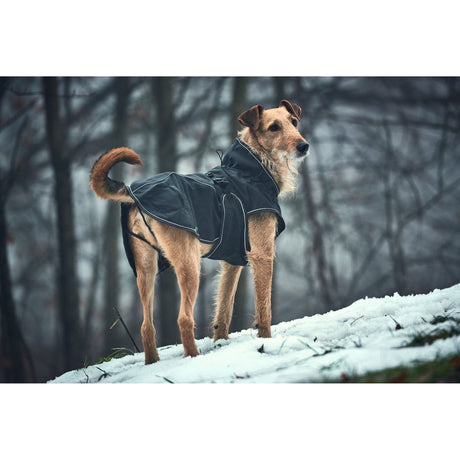 HUNTER Softshell Hundemantel Uppsala