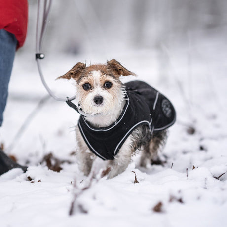 HUNTER Softshell Hundemantel Uppsala