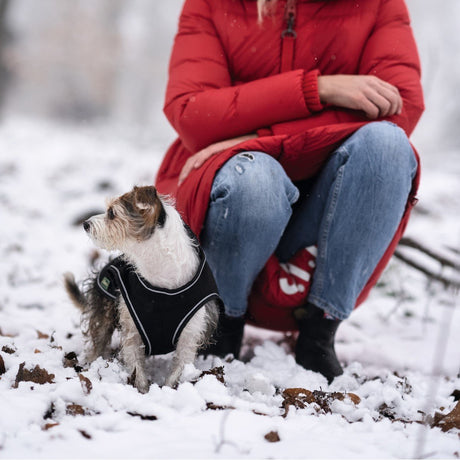 HUNTER Softshell Hundemantel Uppsala